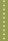 Transitional Services, Inc.